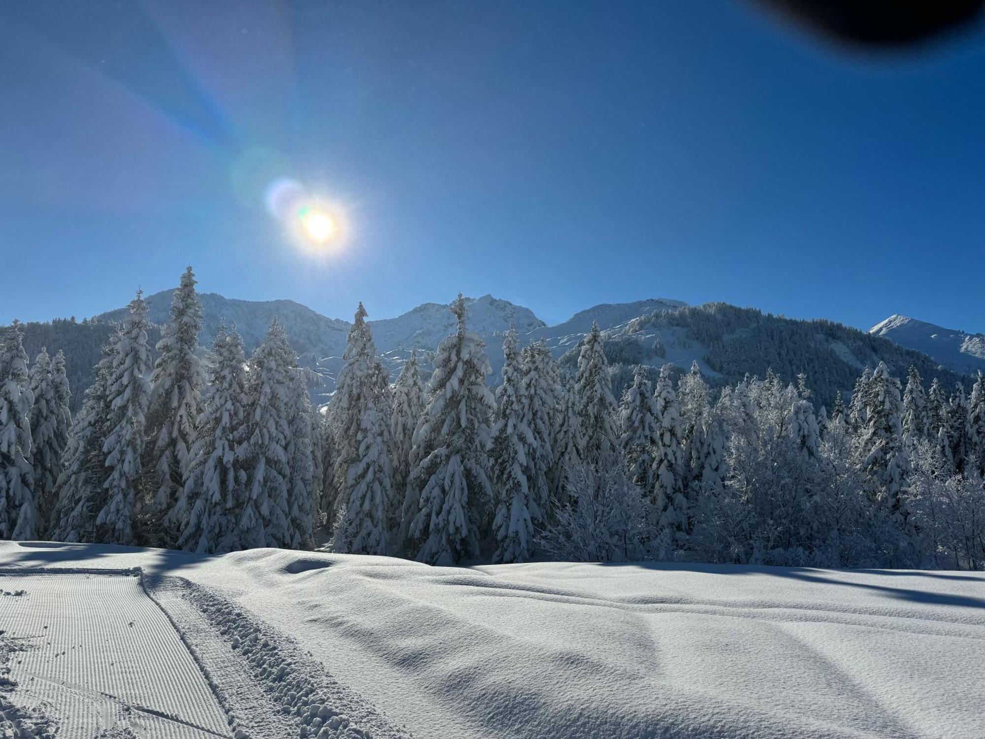 Appartement Erler Sankt Johann in Tirol Εξωτερικό φωτογραφία